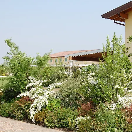 Hotel Gold 4*